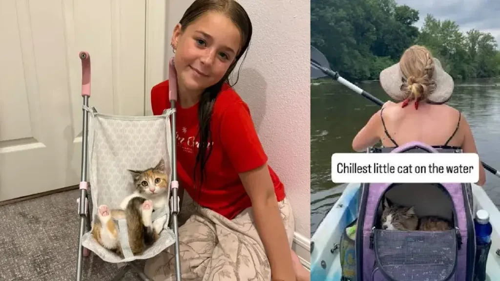 Kayaker Carter Taylor Hears a Kitten Crying From the Water and Paddles Out to Rescue Her Kayaker Carter Taylor Hears a Kitten Crying From the Water and Paddles Out to Rescue Her