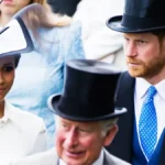 King Charles Clarifies Prince Harry and Meghan Markle’s Royal Status After U.K. Return
